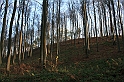 Rostoczek 11.2008 301